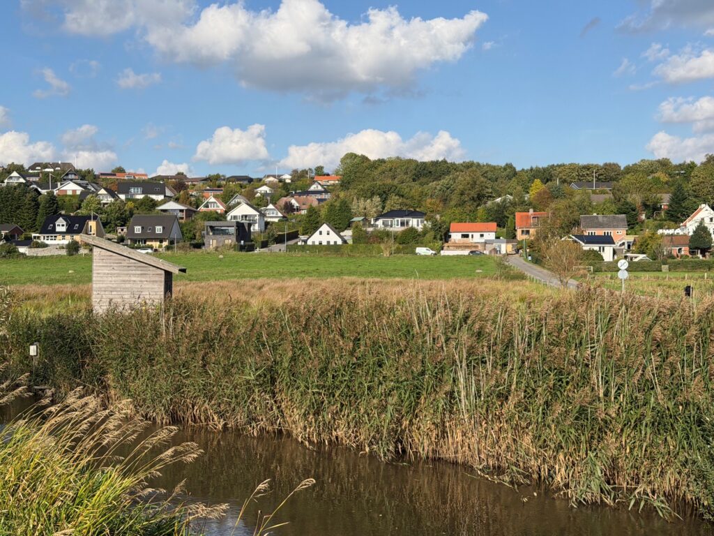 Alpedalen som bydel ligger på skråning med Kolding Å i forgrunden